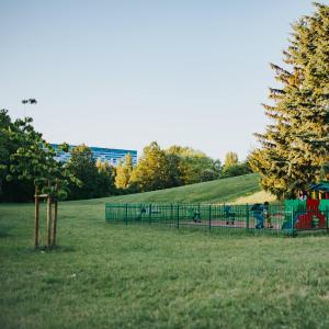 parki i tereny zielone