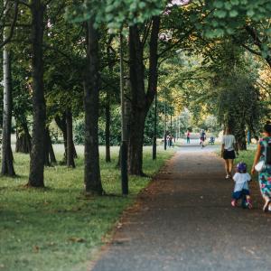 parki i tereny zielone